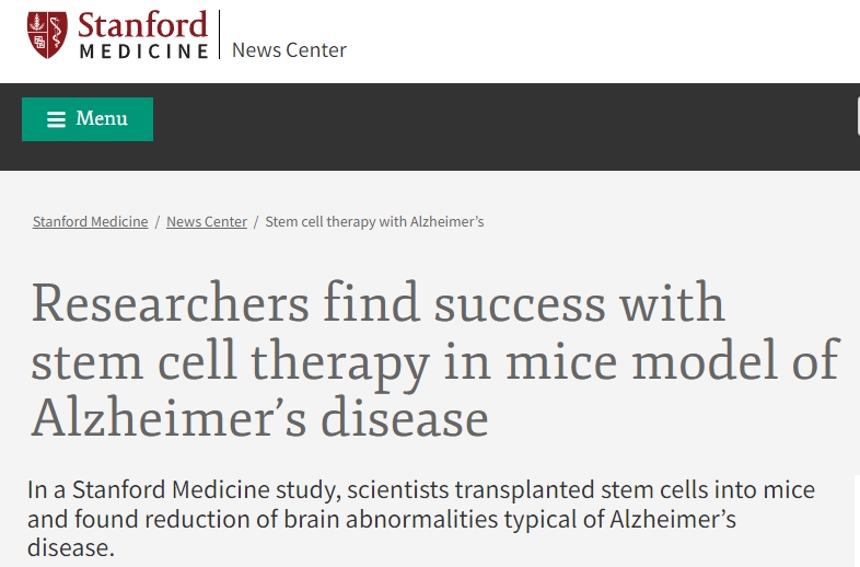 研究人員在阿爾茨海默病小鼠模型中發現干細胞療法取得成功