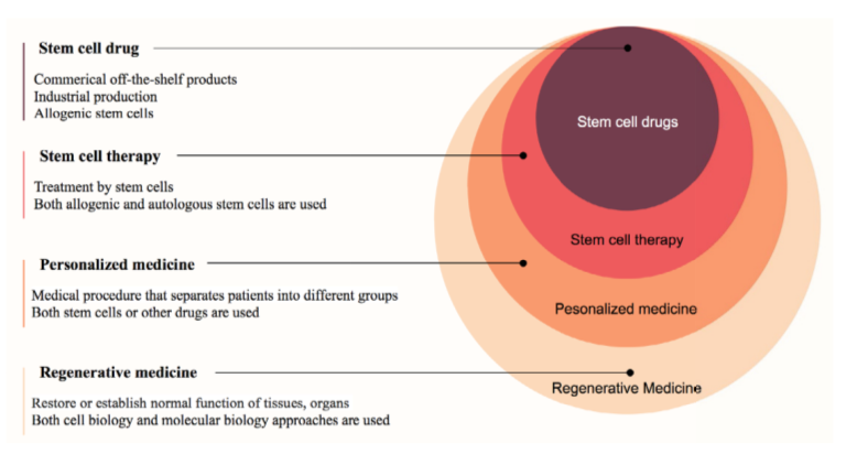 圖1：再生醫學中的干細胞藥物