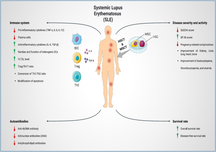 圖1：SLE患者的疾病發病機制、嚴重程度和活動性。