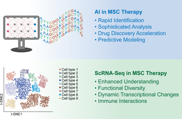 圖1:人工智能 (AI) 和單細(xì)胞RNA測序 (scRNA-seq) 用于增強(qiáng)間充質(zhì)干細(xì)胞 (MSC) 的臨床應(yīng)用。 圖1:人工智能 (AI) 和單細(xì)胞RNA測序 (scRNA-seq) 用于增強(qiáng)間充質(zhì)干細(xì)胞 (MSC) 的臨床應(yīng)用。