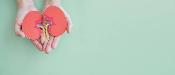 慢性腎病治療，你了解這6種方法嗎？