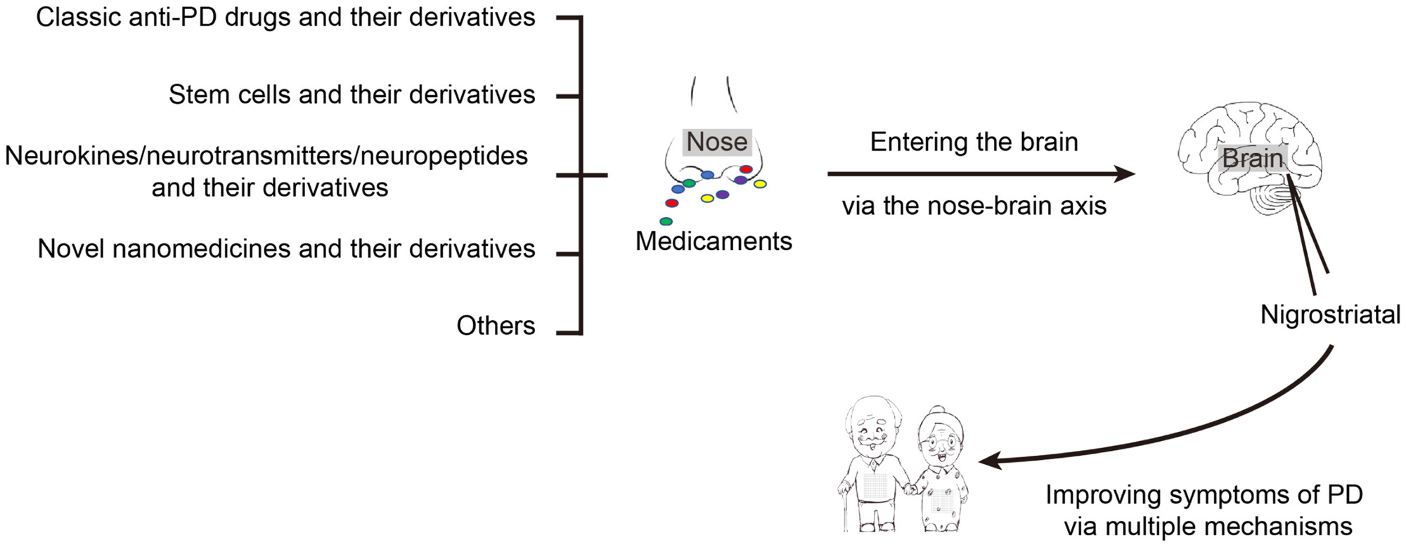 圖1：鼻內治療：帕金森病（PD）的有希望的選擇