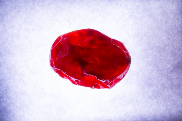 什么是血腦屏障？間充質干細胞是否具備穿過血腦屏障的能力？