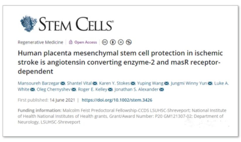 人胎盤間充質干細胞對缺血性中風的保護作用是血管緊張素轉換酶-2 和 masR 受體依賴性的 人胎盤間充質干細胞對缺血性中風的保護作用是血管緊張素轉換酶-2 和 masR 受體依賴性的