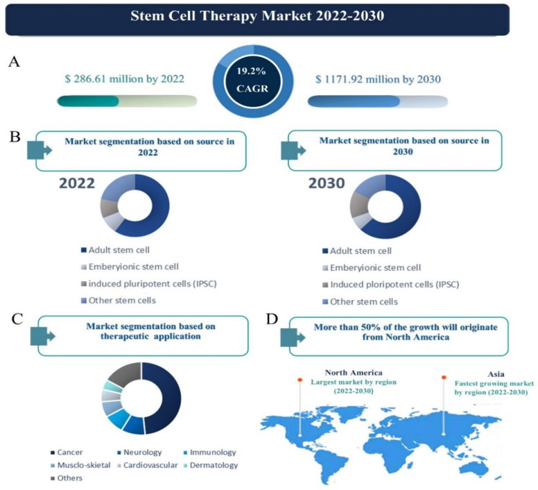 干細胞治療市場 2022-2030 干細胞治療市場 2022-2030