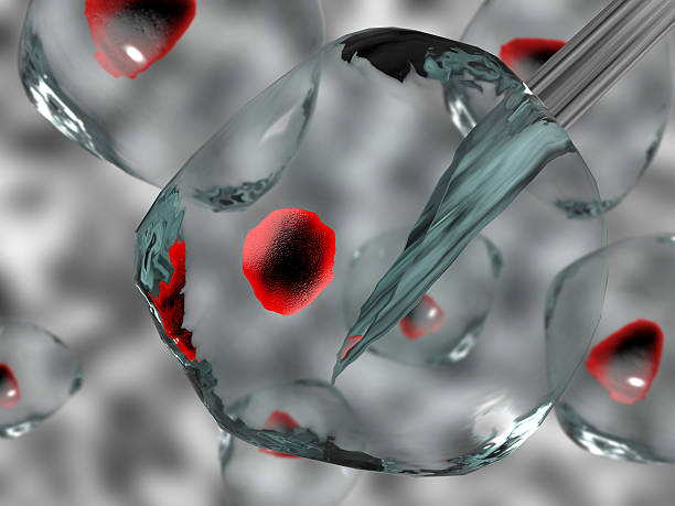 抑郁癥的治療方式有哪些? 抑郁癥的治療方式有哪些?