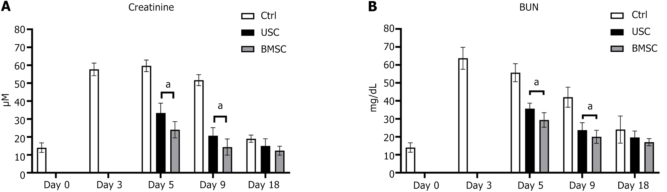圖3：腎功能評估。