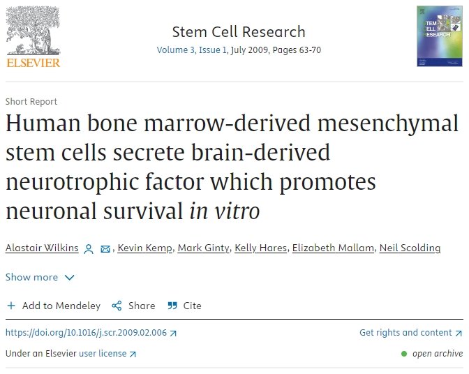 人類骨髓間充質(zhì)干細(xì)胞分泌腦源性神經(jīng)營(yíng)養(yǎng)因子，促進(jìn)體外神經(jīng)元存活