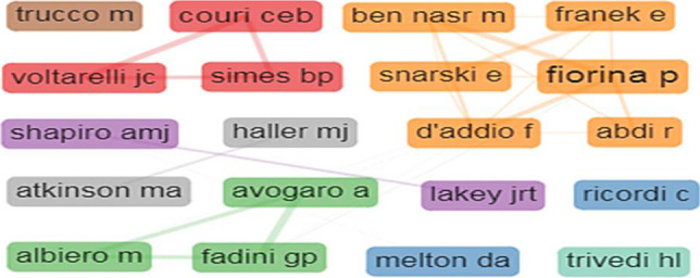 圖5：1型糖尿病干細胞療法的作者合作網絡。