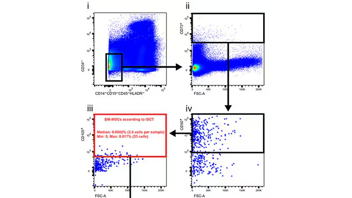 研究人員通過(guò)一系列步驟篩選數(shù)據(jù),在骨髓漿中尋找這些干細(xì)胞。他們找到了 3.5 個(gè)。? 研究人員通過(guò)一系列步驟篩選數(shù)據(jù),在骨髓漿中尋找這些干細(xì)胞。他們找到了 3.5 個(gè)。?