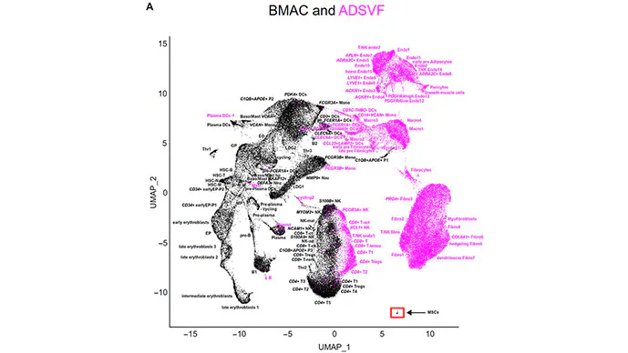 BMAC and ADSVF BMAC and ADSVF