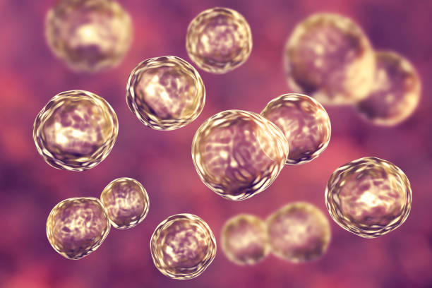 中國的人類多能干細胞生物庫的發(fā)展要迎來拐點了嗎? 中國的人類多能干細胞生物庫的發(fā)展要迎來拐點了嗎?