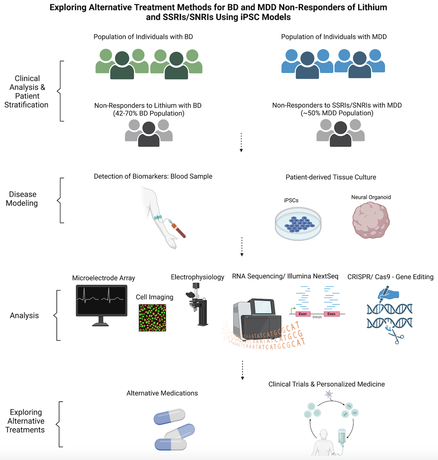 芹菜素更有效地減弱了BD患者iPSC衍生星形膠質(zhì)細(xì)胞的炎癥反應(yīng)。