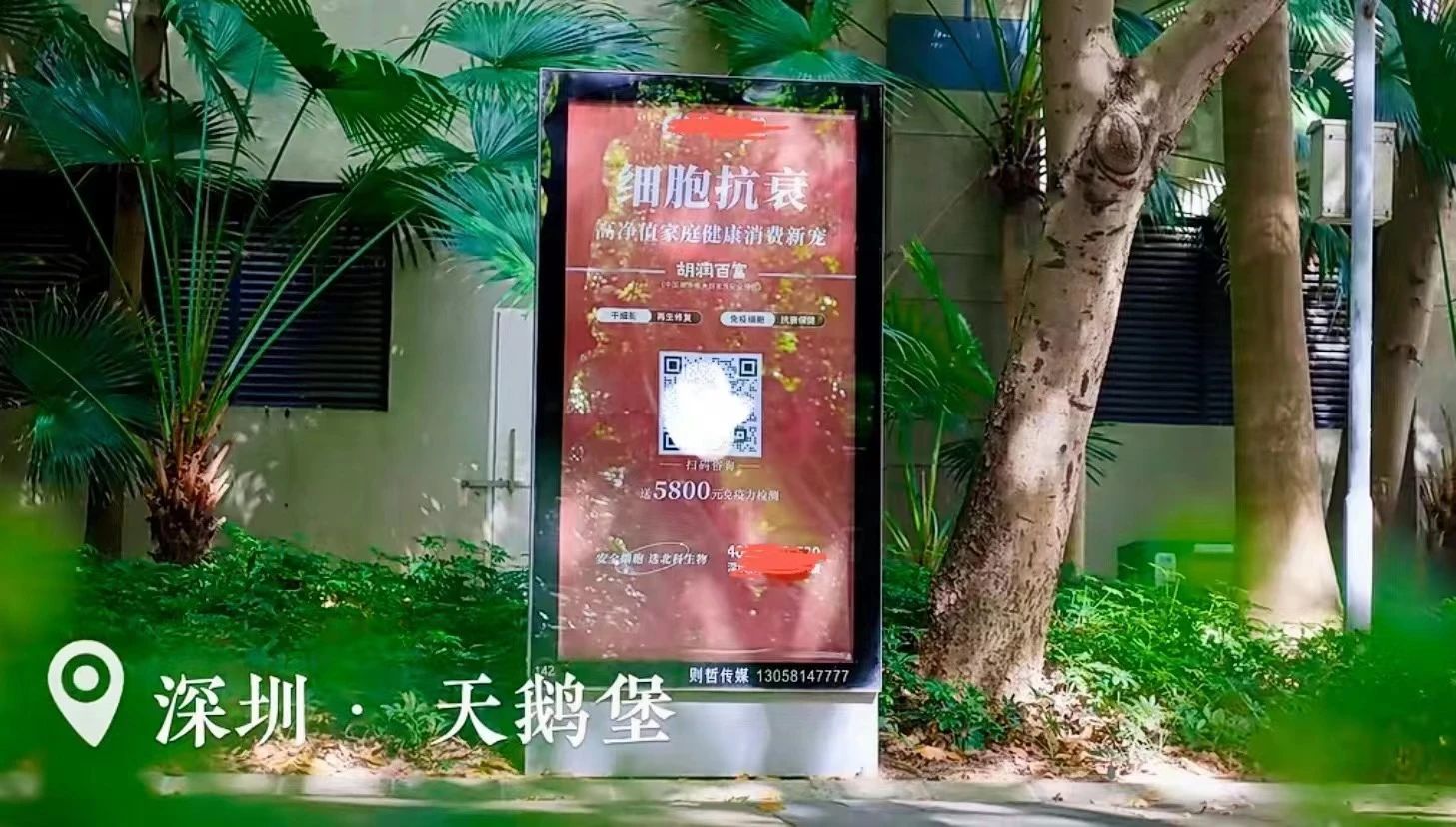 這些政策的出臺，為深圳的細胞和基因治療領域再次注入了新的活力。