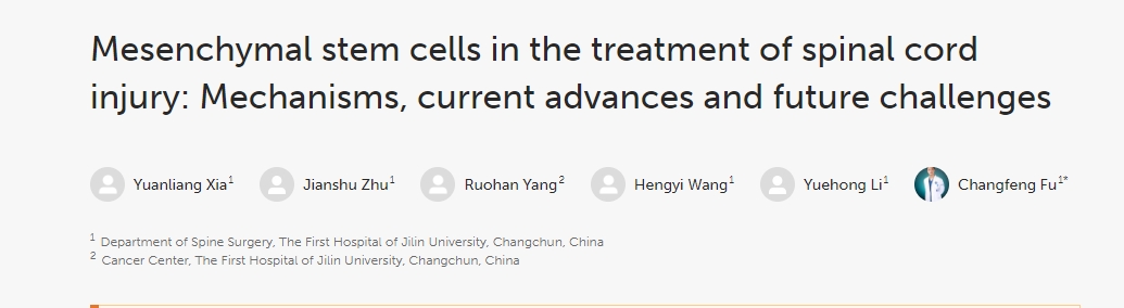 間充質(zhì)干細(xì)胞治療脊髓損傷：機(jī)制、當(dāng)前進(jìn)展和未來挑戰(zhàn)