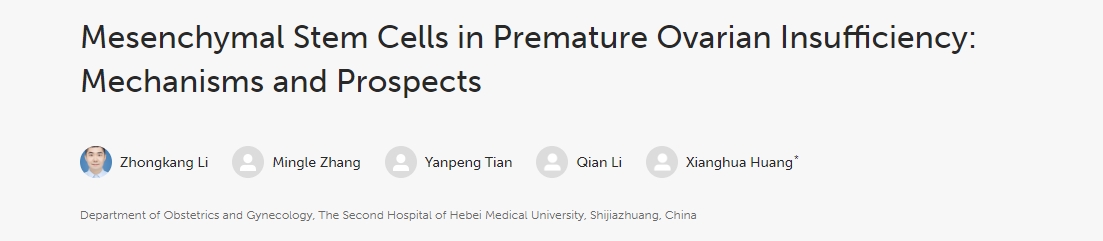 間充質(zhì)干細(xì)胞在卵巢早衰中的作用:機(jī)制與前景 間充質(zhì)干細(xì)胞在卵巢早衰中的作用:機(jī)制與前景