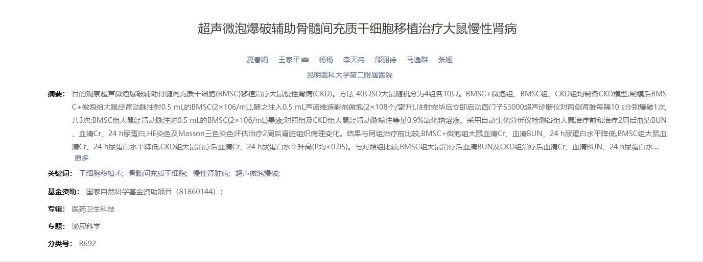 聲微泡爆破輔助骨髓間充質干細胞移植治療大鼠慢性腎病