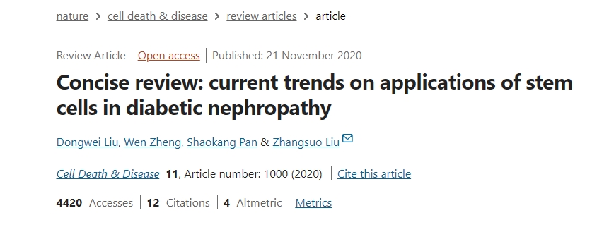 簡述:干細胞在糖尿病腎病中的應用現狀 簡述:干細胞在糖尿病腎病中的應用現狀