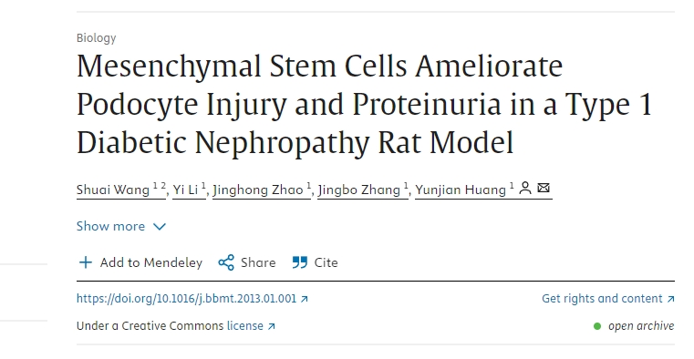 間充質干細胞改善1型糖尿病腎病大鼠模型中的足細胞損傷和蛋白尿 間充質干細胞改善1型糖尿病腎病大鼠模型中的足細胞損傷和蛋白尿