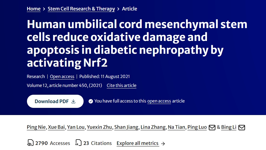 人臍帶間充質干細胞通過激活Nrf2減少糖尿病腎病中的氧化損傷和細胞凋亡 人臍帶間充質干細胞通過激活Nrf2減少糖尿病腎病中的氧化損傷和細胞凋亡