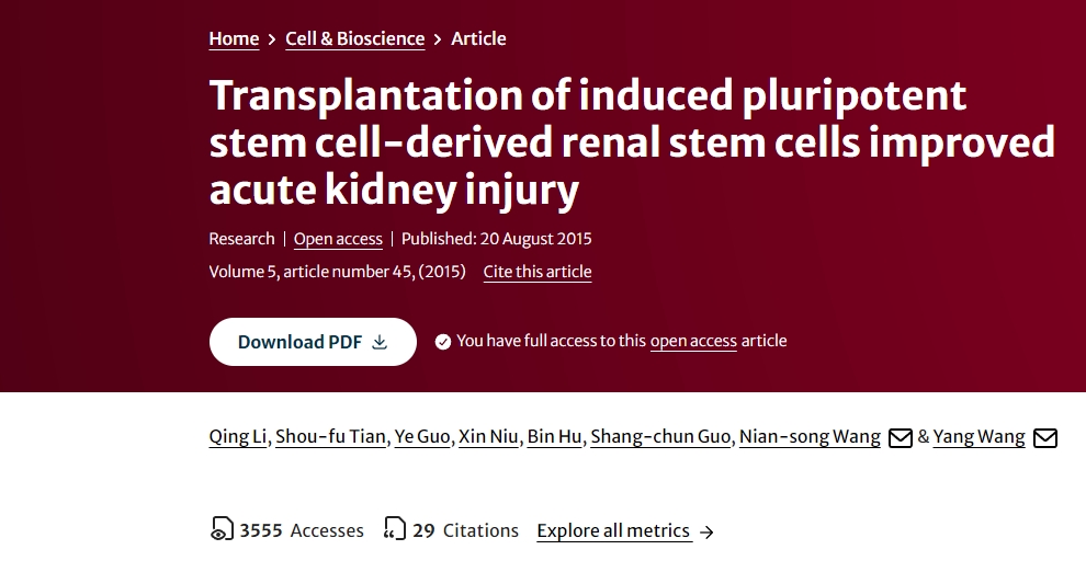 誘導性多能干細胞來源的腎干細胞移植改善急性腎損傷 誘導性多能干細胞來源的腎干細胞移植改善急性腎損傷