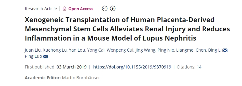 人類胎盤來源的間充質干細胞異種移植可減輕狼瘡性腎炎小鼠模型的腎臟損傷并減少炎癥 人類胎盤來源的間充質干細胞異種移植可減輕狼瘡性腎炎小鼠模型的腎臟損傷并減少炎癥