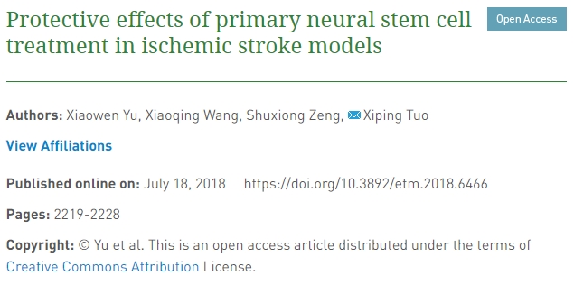 原發性神經干細胞治療對缺血性中風模型的保護作用 原發性神經干細胞治療對缺血性中風模型的保護作用