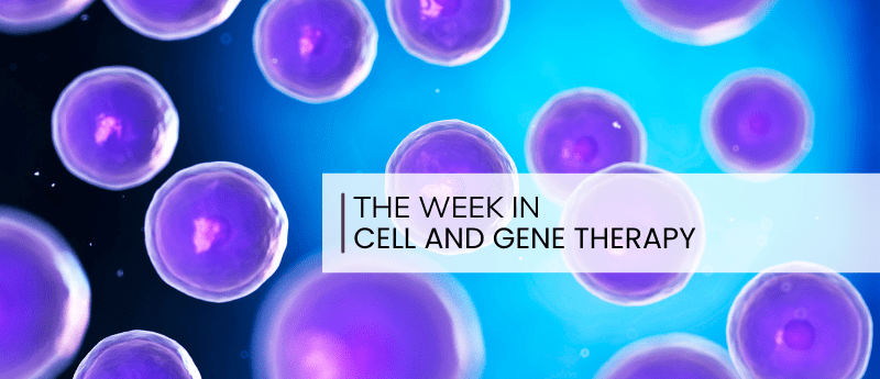 FDA批準(zhǔn)g-NK細(xì)胞療法用于I期多發(fā)性硬化癥的試驗(yàn) FDA批準(zhǔn)g-NK細(xì)胞療法用于I期多發(fā)性硬化癥的試驗(yàn)