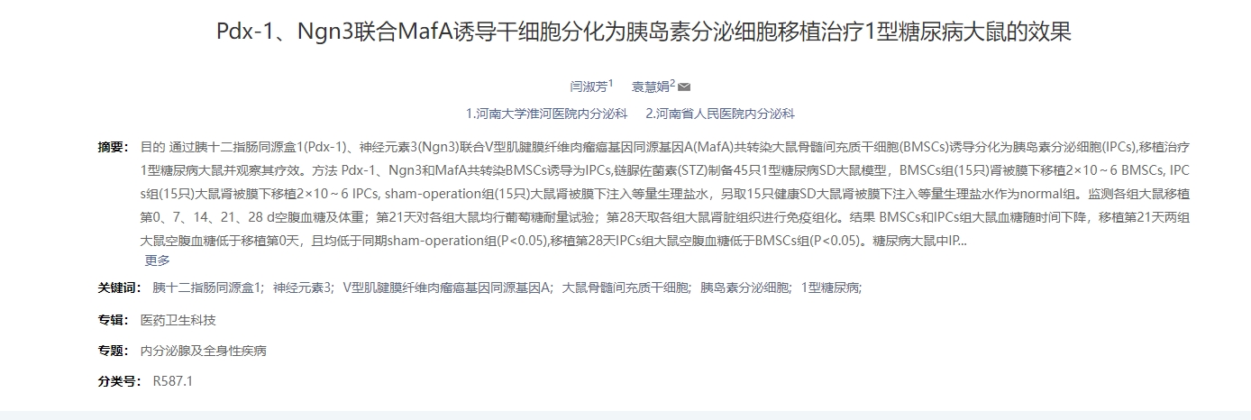dx-1、Ngn3聯合MafA誘導干細胞分化為胰島素分泌細胞移植治療1型糖尿病大鼠的效果