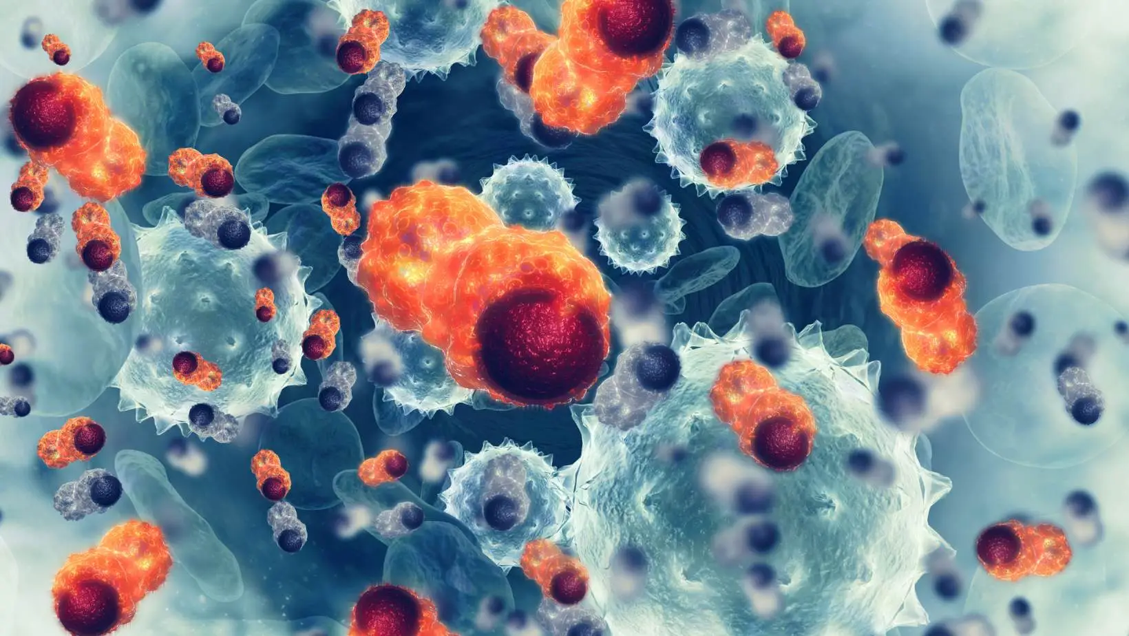 干細(xì)胞飲食：如何通過飲食更好的再生和治愈