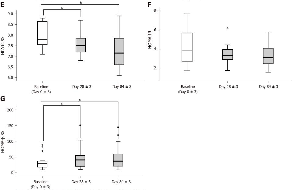 胰島β細(xì)胞功能 胰島β細(xì)胞功能