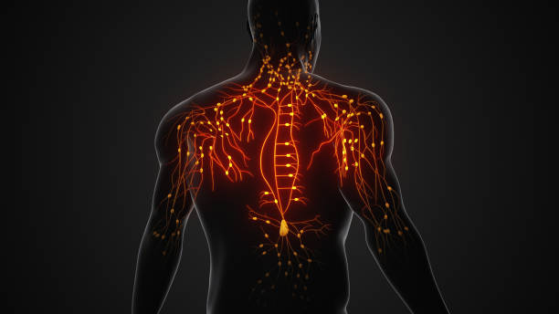 腦和脊髓創傷是重大的公共衛生挑戰