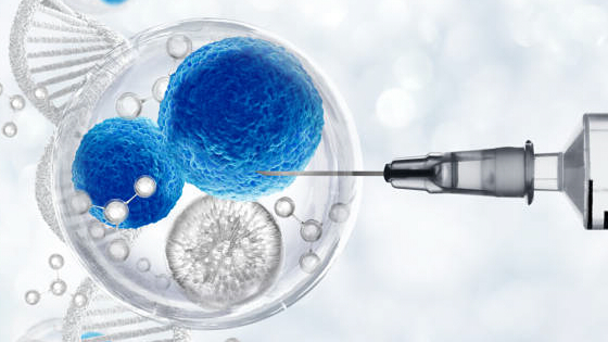 干細胞治療慢阻肺的機制原理