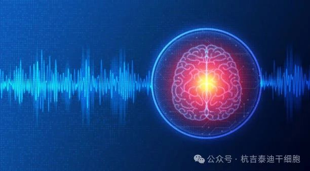 01神經系統(tǒng)疾病的簡介與背景 01神經系統(tǒng)疾病的簡介與背景