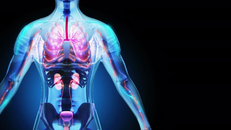 干細胞療法可以重建腎臟功能嗎？