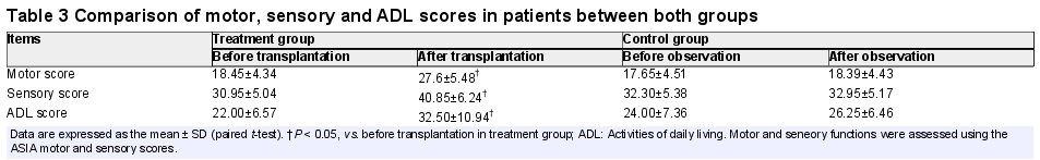 植入含有hUC-MSC的膠原支架(CS)可改善人類脊髓完全損傷(SCI)后的神經功能 植入含有hUC-MSC的膠原支架(CS)可改善人類脊髓完全損傷(SCI)后的神經功能