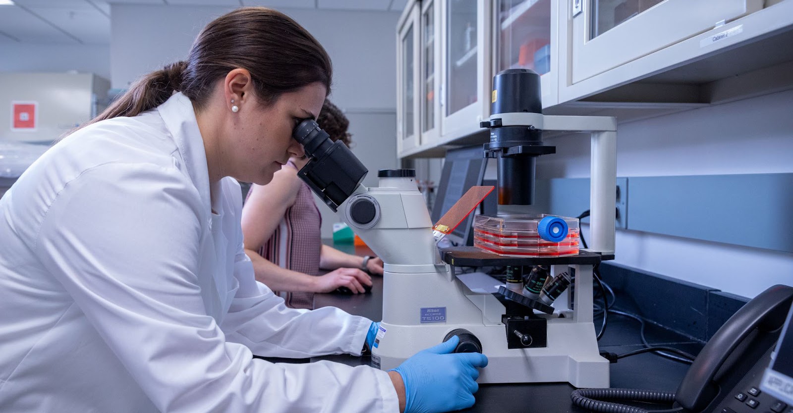 在干細(xì)胞用于治療之前,必須對(duì)其進(jìn)行適當(dāng)?shù)募せ詈团囵B(yǎng)。 在干細(xì)胞用于治療之前,必須對(duì)其進(jìn)行適當(dāng)?shù)募せ詈团囵B(yǎng)。