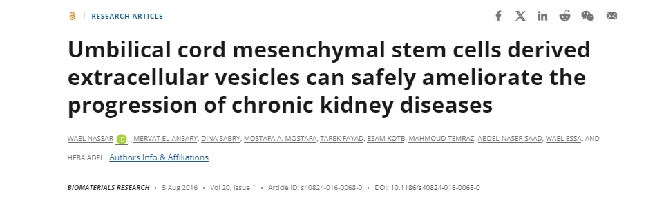 臍帶間充質(zhì)干細(xì)胞衍生的細(xì)胞外囊泡可以安全地改善慢性腎臟疾病的進(jìn)展 臍帶間充質(zhì)干細(xì)胞衍生的細(xì)胞外囊泡可以安全地改善慢性腎臟疾病的進(jìn)展