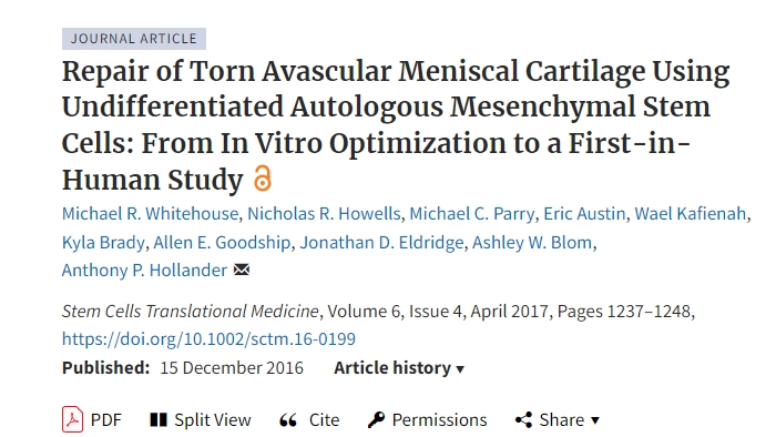 使用未分化自體間充質干細胞修復撕裂的無血管半月板軟骨:從體外優化到首次人體研究 使用未分化自體間充質干細胞修復撕裂的無血管半月板軟骨:從體外優化到首次人體研究