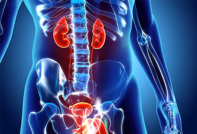 您通?？梢越档突寄I病的風險或阻止其進展。