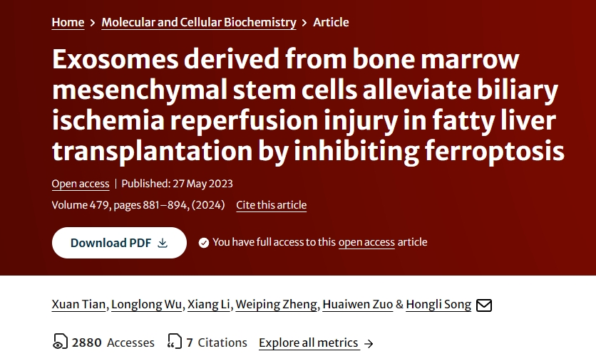 骨髓間充質干細胞來源的外泌體通過抑制鐵死亡減輕脂肪肝移植膽道缺血再灌注損傷 骨髓間充質干細胞來源的外泌體通過抑制鐵死亡減輕脂肪肝移植膽道缺血再灌注損傷