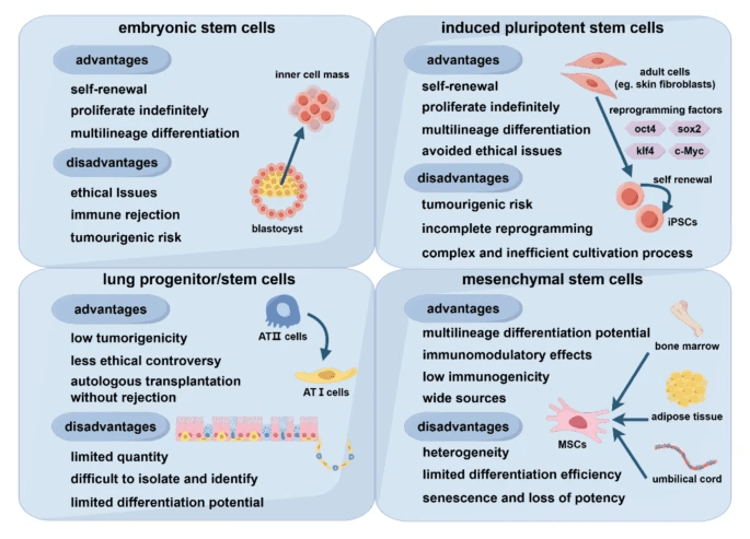 圖2:不同類型干細(xì)胞的優(yōu)點(diǎn)和缺點(diǎn)。 圖2:不同類型干細(xì)胞的優(yōu)點(diǎn)和缺點(diǎn)。