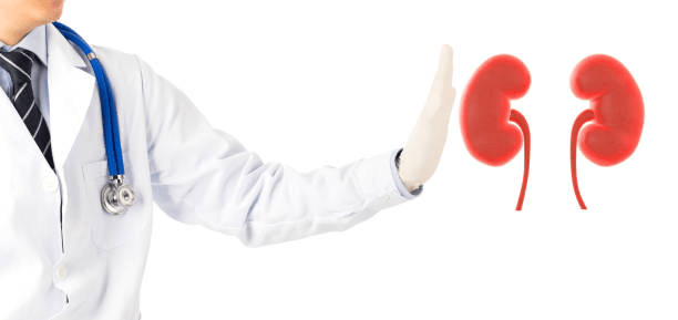 胚胎、誘導(dǎo)多能、內(nèi)皮祖、間充質(zhì)干細(xì)胞治療腎臟疾病的研究進(jìn)展