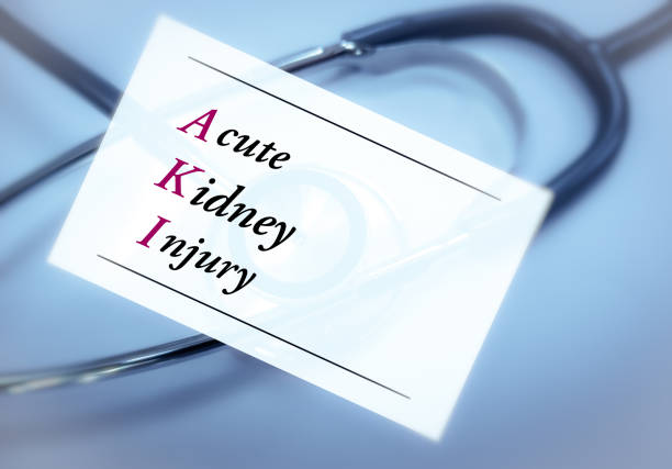 間充質(zhì)干細胞治療急性腎損傷的4大機制,你都了解嗎? 間充質(zhì)干細胞治療急性腎損傷的4大機制,你都了解嗎?