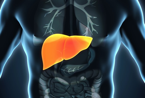 肝衰竭如何治療?干細(xì)胞治療為什么會(huì)成為修復(fù)肝衰竭的新途徑? 肝衰竭如何治療?干細(xì)胞治療為什么會(huì)成為修復(fù)肝衰竭的新途徑?
