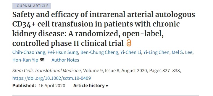 慢性腎臟病患者腎動脈自體 CD34+ 細胞輸注的安全性和有效性:一項隨機、開放標簽、對照的 II 期臨床試驗 慢性腎臟病患者腎動脈自體 CD34+ 細胞輸注的安全性和有效性:一項隨機、開放標簽、對照的 II 期臨床試驗