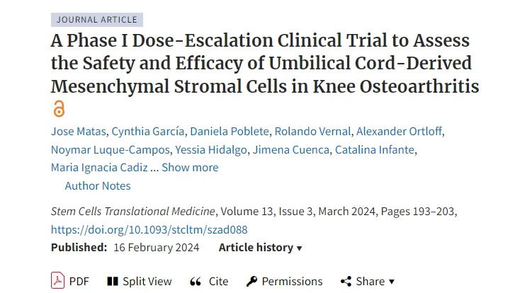 一項(xiàng)I期劑量遞增臨床試驗(yàn),評(píng)估臍帶間充質(zhì)基質(zhì)細(xì)胞在膝關(guān)節(jié)骨關(guān)節(jié)炎中的安全性和有效性 一項(xiàng)I期劑量遞增臨床試驗(yàn),評(píng)估臍帶間充質(zhì)基質(zhì)細(xì)胞在膝關(guān)節(jié)骨關(guān)節(jié)炎中的安全性和有效性