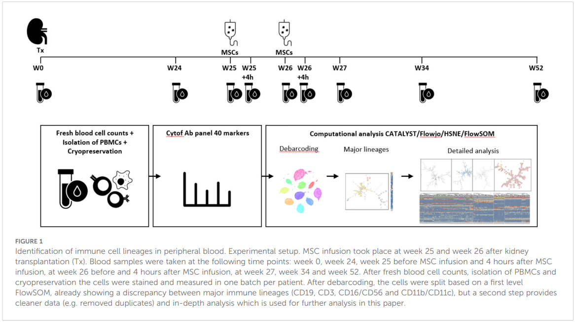 研究設計概述 研究設計概述