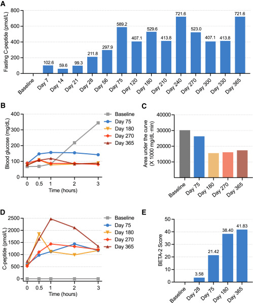 圖4:CiPSC-胰島移植功能評估 圖4:CiPSC-胰島移植功能評估