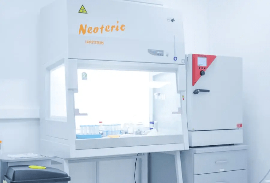 干細胞治療的安全性和副作用:全面概述